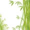 Bamboo background