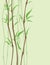 Bamboo background