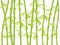 Bamboo background