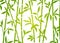 Bamboo background japanese asian plant wallpaper grass. Bamboo tree vector pattern