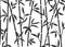 Bamboo background japanese asian plant wallpaper grass. Bamboo tree vector pattern black and white