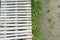 Bamboo balcony and green natural rice and grass field