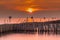 Bamboo barrier in the sea the twilight, Thailand