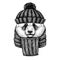 Bamboo bear. Panda. Cool animal wearing knitted winter hat. Warm headdress beanie Christmas cap for tattoo, t-shirt