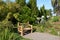 A bamboo bench in the garden.