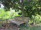 Bamboo bench in the jungle, Bunaken island, Indonesia