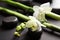 Bamboo branches with flowers and spa stones