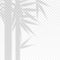 Bamboo Branches Leaves Overlay Effect Transparent Shadow. Vector