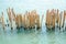 Bamboo Breakwater. Bamboo pole using for break sea wave