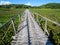 Bamboo bridge through lush lotus lake with mountain background a