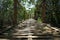 Bamboo Bridge from Mangrove Forest Pemuteran Bali