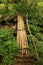 Bamboo bridge over brook