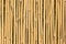 Bamboo cane texture