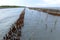 Bamboo and cement poles Embroidered in the sea in a row