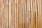 Bamboo closeup - pattern