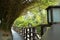 Bamboo covered pathway