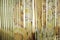 Bamboo curtain background