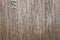 Bamboo curtain background