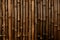 Bamboo Dark Background