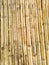 Bamboo dry sheet curtain tied with light wood tone background. Texture