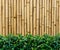 Bamboo fence