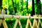 A bamboo fence around a wood in spring.