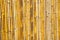 Bamboo fence background.