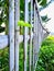 bamboo fence on the edge of rice fields