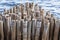 Bamboo fence wall is breakwater for protecting the shore and mangrove forest from wave erosion and storm in sea. Tranquil idyllic