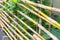 Bamboo fences in garden agricultural countryside