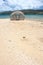 Bamboo fish trap on the beach, Rodrigues Island