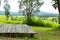 Bamboo flooring in meadow and trees at Thung Salaeng Luang , Phetchabun in Thailand.