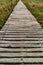 Bamboo footbridge