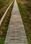 Bamboo footbridge