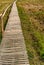 Bamboo footbridge