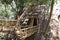 Bamboo footbridge and small tree house. The construction of bamboo logs and dry reed is part of a trail high above the ground.