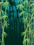 Bamboo forest