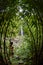 Bamboo Forest Adventure, Fisheye