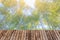 Bamboo forest grove background with wooden table