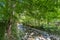 Bamboo Forest Path known as `Narrow path`, Shuzenji corridor of  beautiful Bamboo Forest