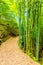 Bamboo Forest Path To Grounds Tsumago Castle