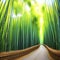 Bamboo forest with sunbeams and lens flare