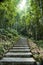 Bamboo forest in Tien Waterfall at Xin Man, Ha Giang, Vietnam