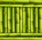 Bamboo frame background