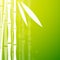 Bamboo Green Background