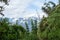 Bamboo green canopy in high-altitude jungles at Peruvian Andes with cloud-covered mountains, Peru