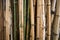 Bamboo green forest background