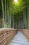 Bamboo Grove at Adashino Nenbutsuji Temple in Kyoto, Japan