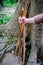 Bamboo hiking stick in hand of woman backpacker hiking in mountains