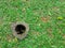 Bamboo hole post in a grass surface floor